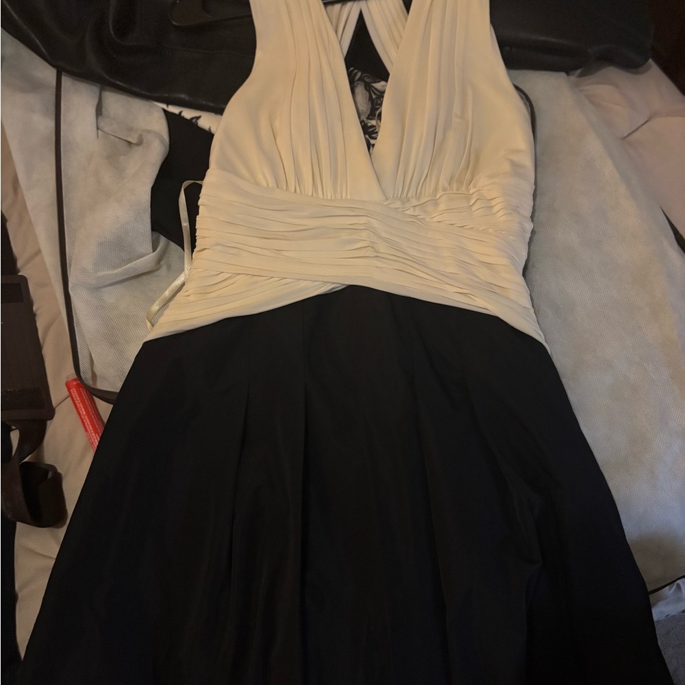 BCBGMaxAzria Black and Cream Backless Dress